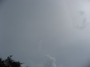 De CO2-arme lucht boven Roelofarendsveen