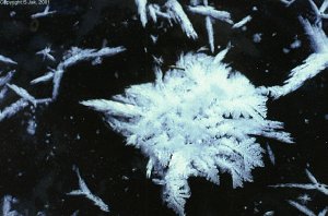 sneeuwkristallen